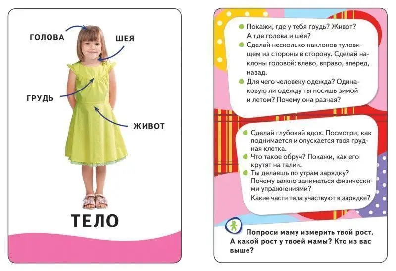 Уценка. Развивающие карточки. Тело человека: называем и показываем