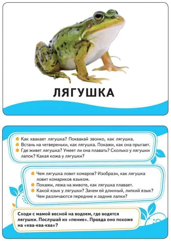 Уценка. Развивающие карточки. Животные