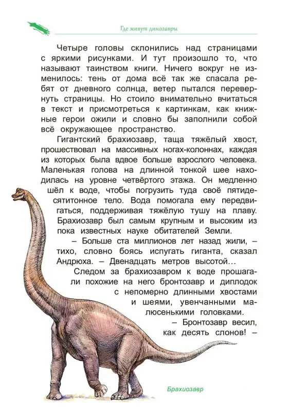 Где живут динозавры : Секрет говорящих камней