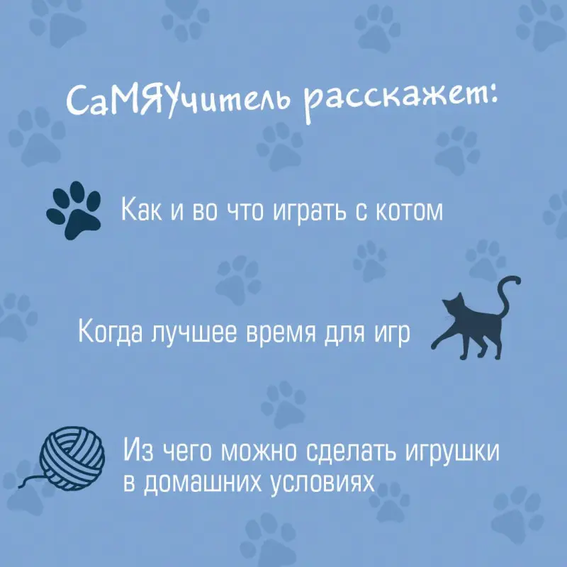 Орлова Анна: СаМЯУчитель. Как правильно играть с кошкой