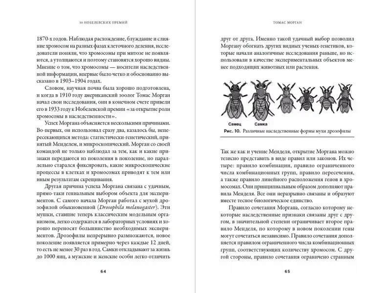 Шестова Ольга Леонидовна: 30 нобелевских премий: Открытия, изменившие медицину