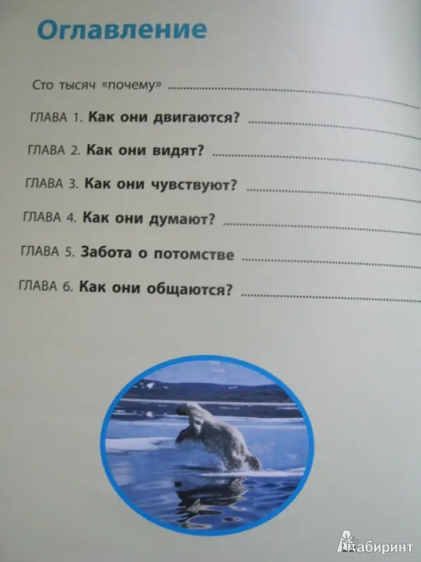 Способности и возможности: Дроздов, Макеев