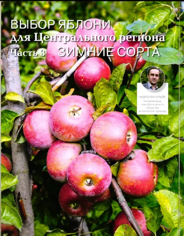 Журнал САД СВОИМИ РУКАМИ №08/2019