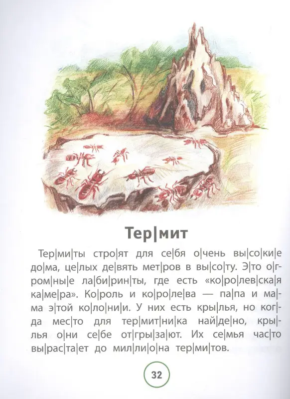 Познавательные тексты для чтения. Насекомые: Галина Сычёва