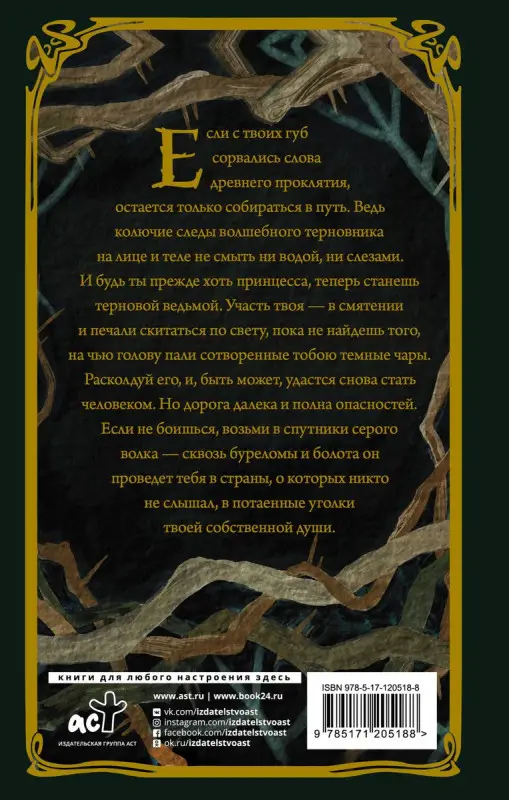 Евгения Спащенко: Терновая ведьма. Изольда