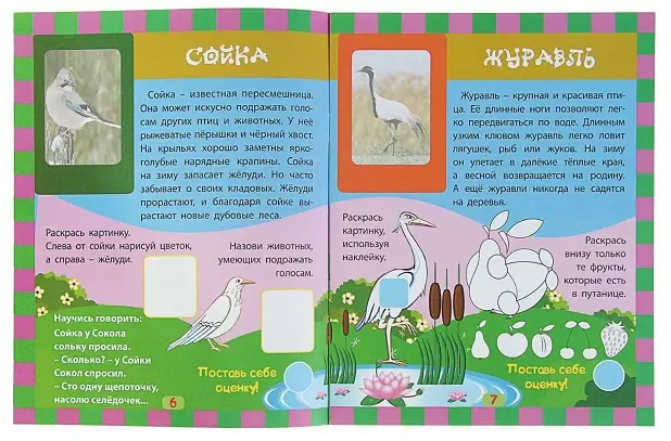 Всеядные. Сборник развивающих заданий с наклейками