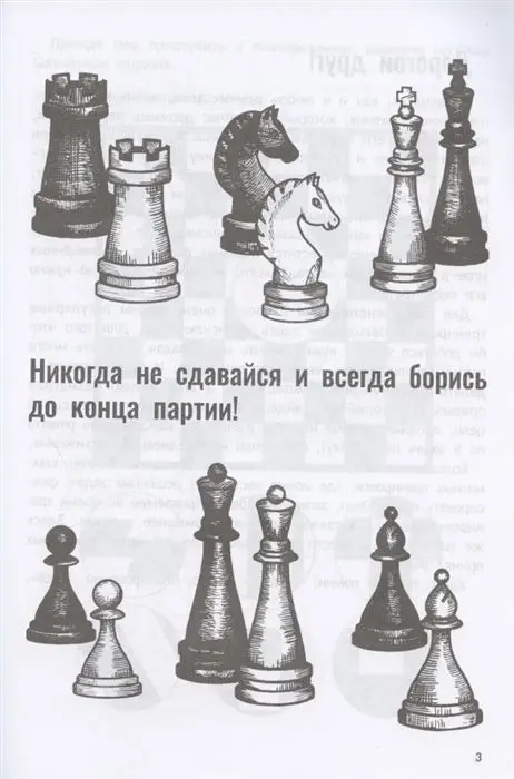 Екатерина Прудникова: Дневник юного шахматиста с трекером тренировок и мотивационными наклейками