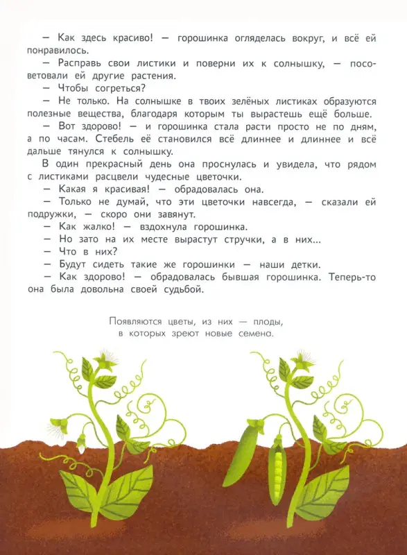 Уценка. Энциклопедия для малышей в сказках: все, что ваш ребенок должен узнать до школы