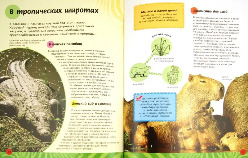Кто кого ест в степях и саваннах?: Мойра Баттерфилд