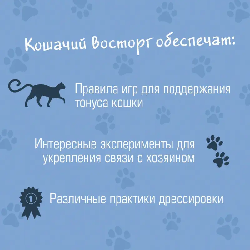 Орлова Анна: СаМЯУчитель. Как правильно играть с кошкой