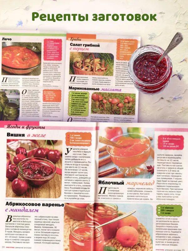 Комплект  из 5 журналов Моя любимая дача, домашние заготовки