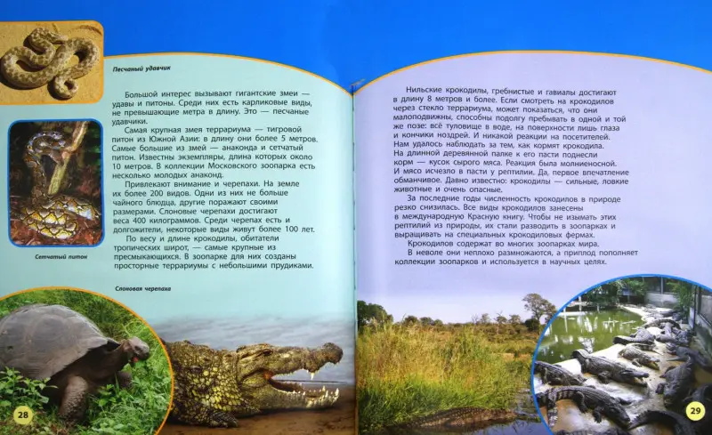 Зоопарки: Дроздов, Макеев