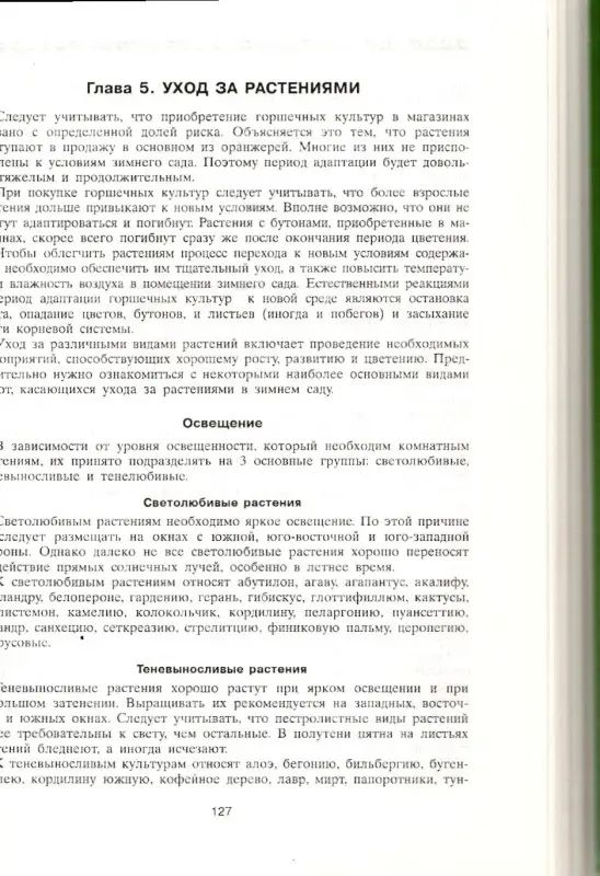 Зимний сад.