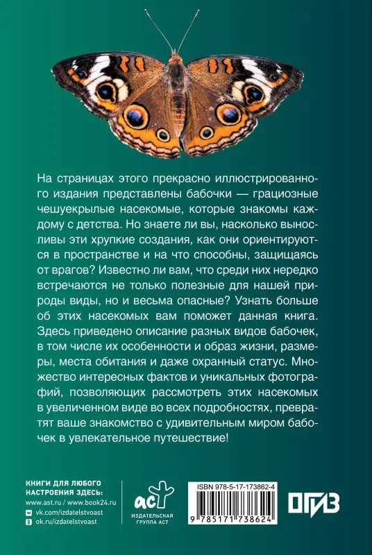 Спектор Анна Артуровна: Бабочки. Иллюстрированный гид