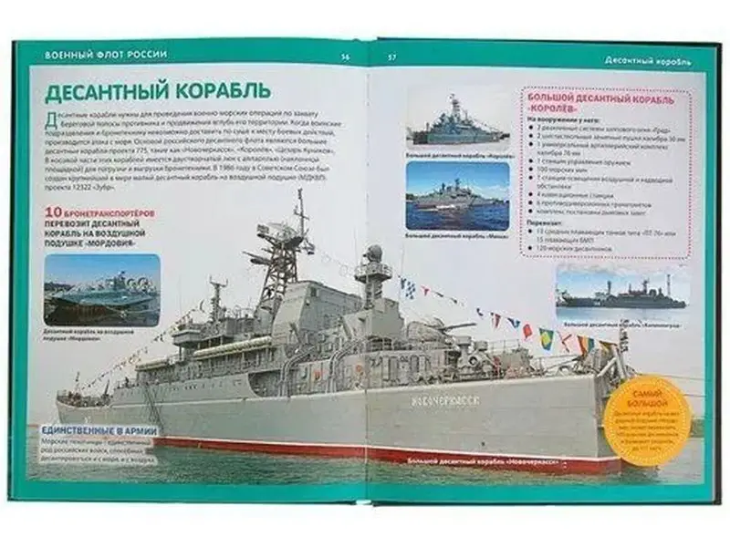 Эти удивительные военная авиация и флот России