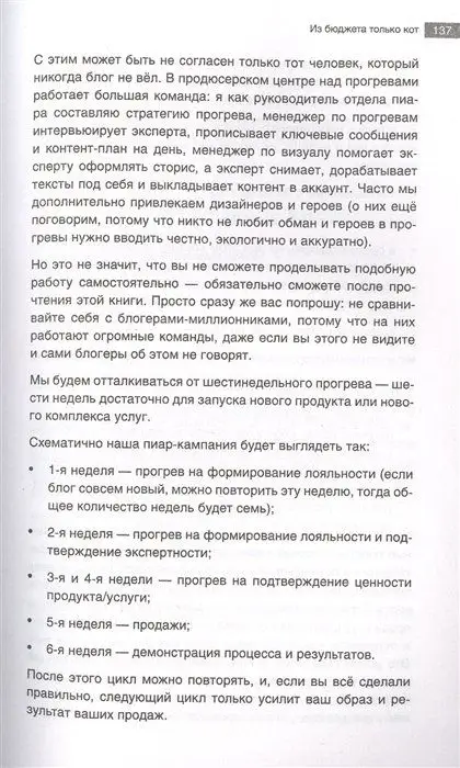Уценка. Из бюджета только кот. Книга о продвижении и прогревах в инстаграме