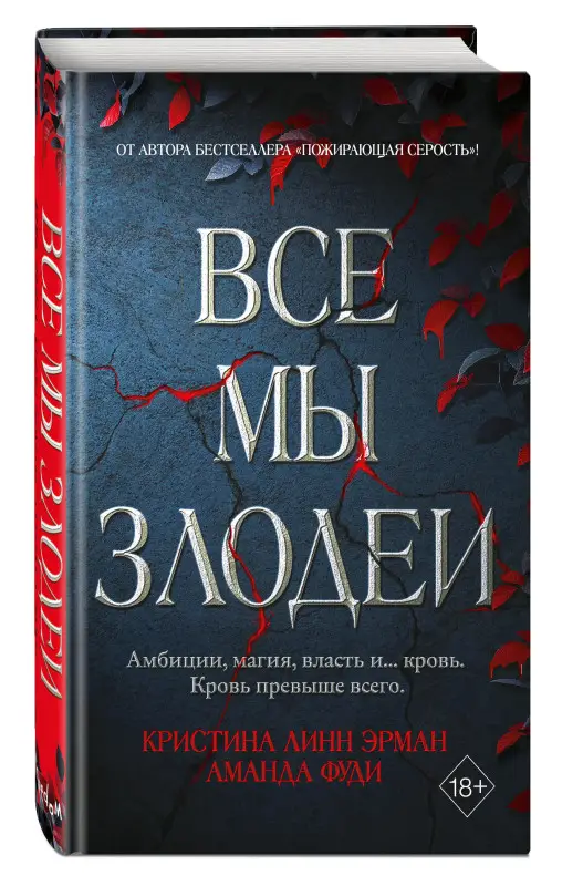Кристина Линн Эрман, Аманда Фуди. Все мы злодеи (#1)