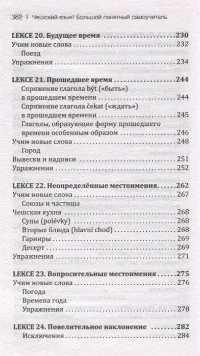 Чешский язык! Большой понятный самоучитель