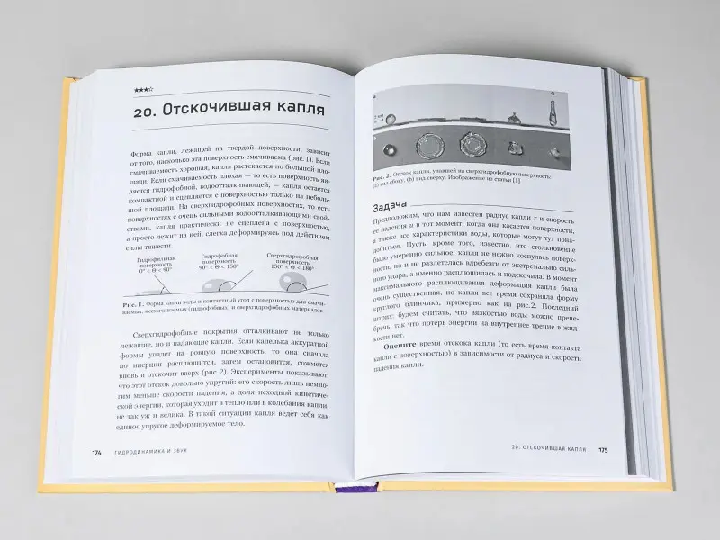 Иванов Игорь Пьерович: Как ломаются спагетти и другие задачи по физике