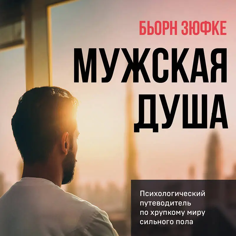 Уценка. Бьорн Зюфке. Мужская душа. Психологический путеводитель по хрупкому миру сильного пола