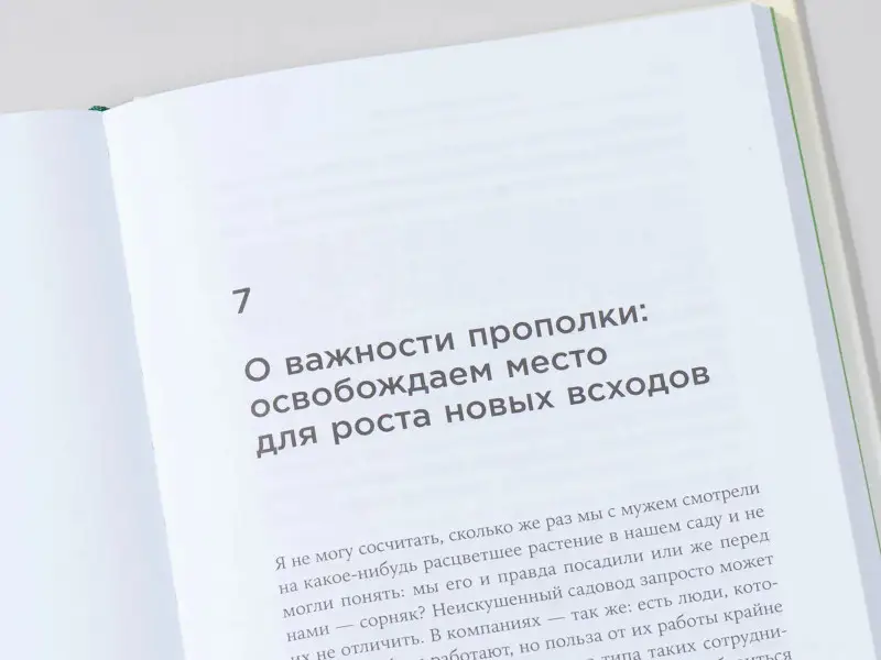 Уценка. Мэтьюсон Роберта Чински: Управление талантами: Руководство по выращиванию сильной команды