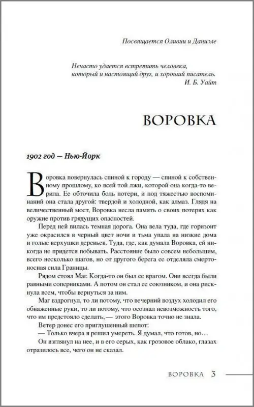 Уценка. Последний маг. 2. Воровка дьявола