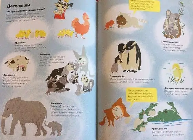 Моя книга о животных