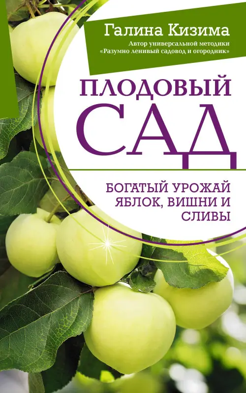 Кизима Галина Александровна: Плодовый сад. Богатый урожай яблок, вишни и сливы