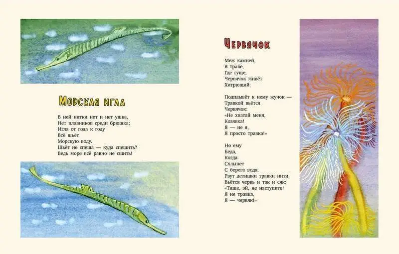 Морской конёк: [сб. стихов] / В. Т. Коржиков ; ил. В. А. Дувидова.