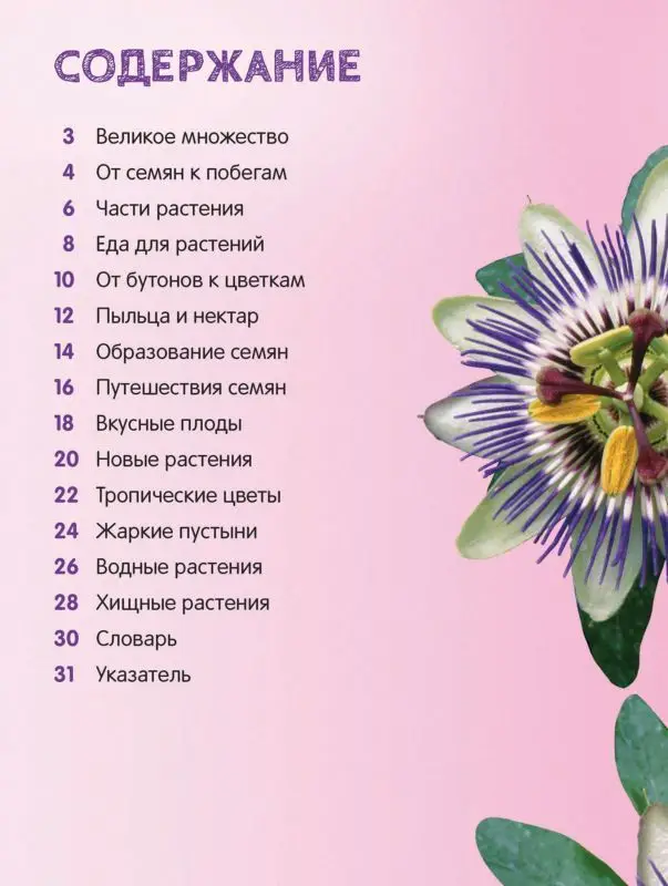 Цветы. Энциклопедия для малышей