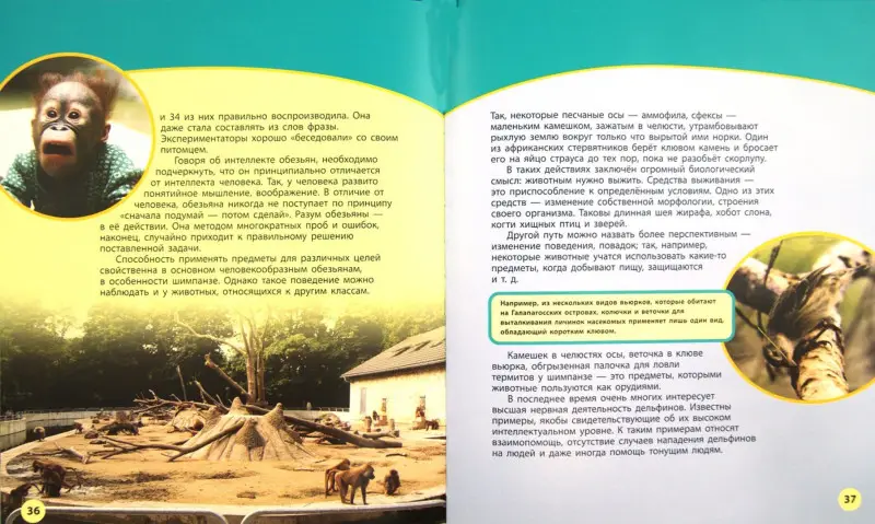 Способности и возможности: Дроздов, Макеев