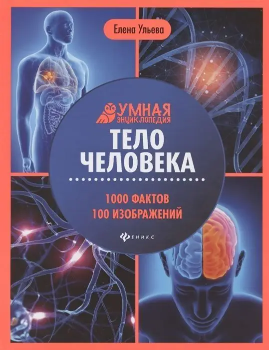 Уценка. Тело человека: энциклопедия