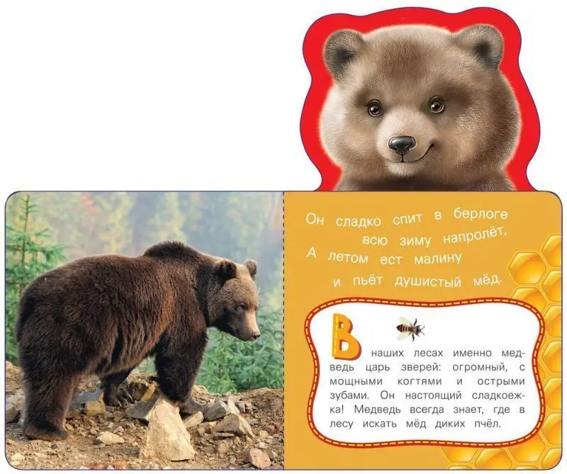 Уценка. Медведь. Мои веселые друзья