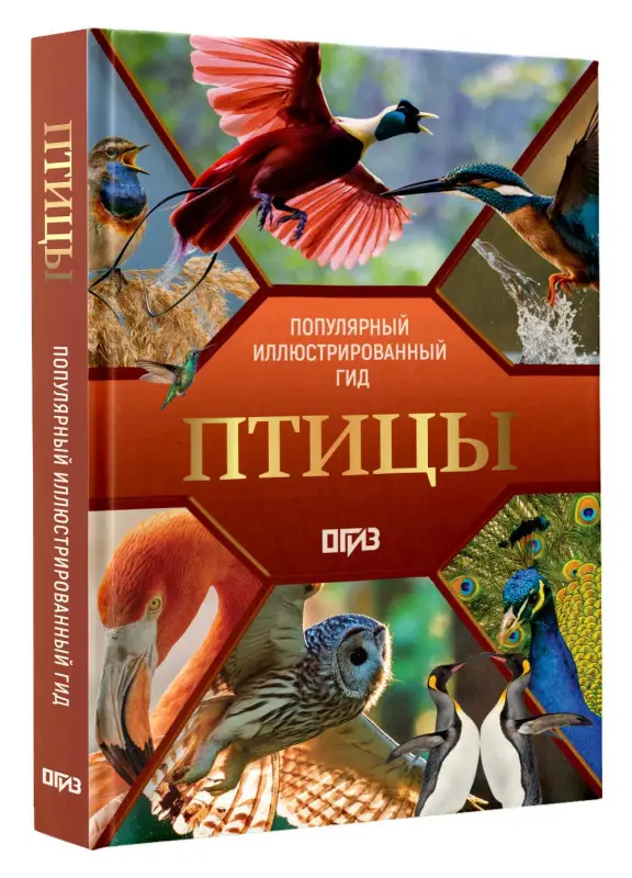 Спектор Анна Артуровна, Папуниди Елена Алексеевна: Птицы. Иллюстрированный гид