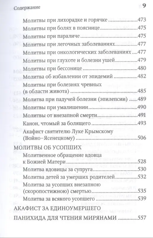 Уценка. Молитвенная защита православного христианина. Молитвы на всякую потребу ко Господу Иисусу Христу