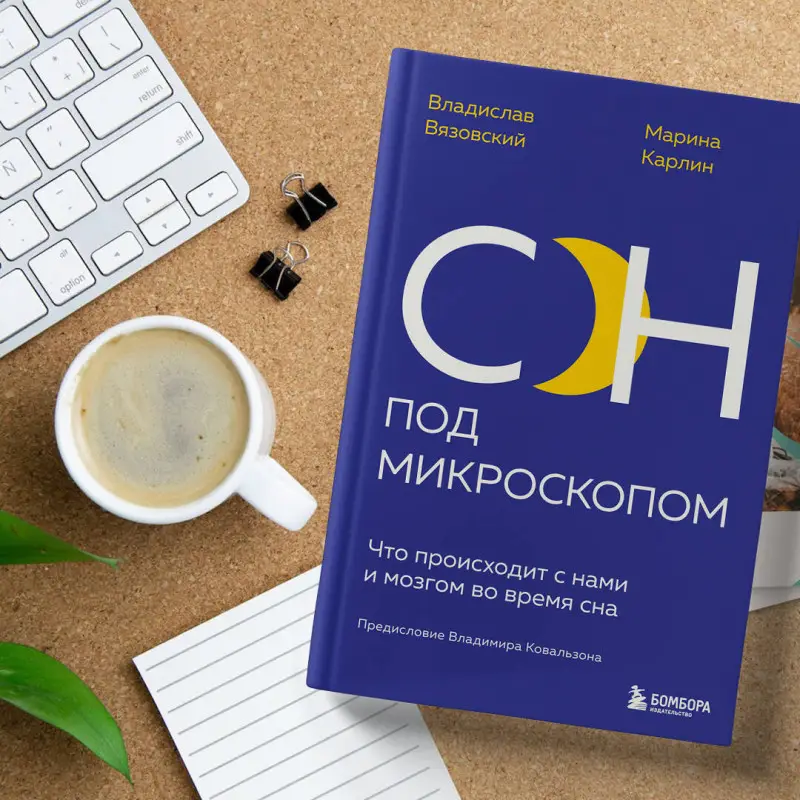 Владислав Вязовский, Марина Карлин. Сон под микроскопом. Что происходит с нами и мозгом во время сна
