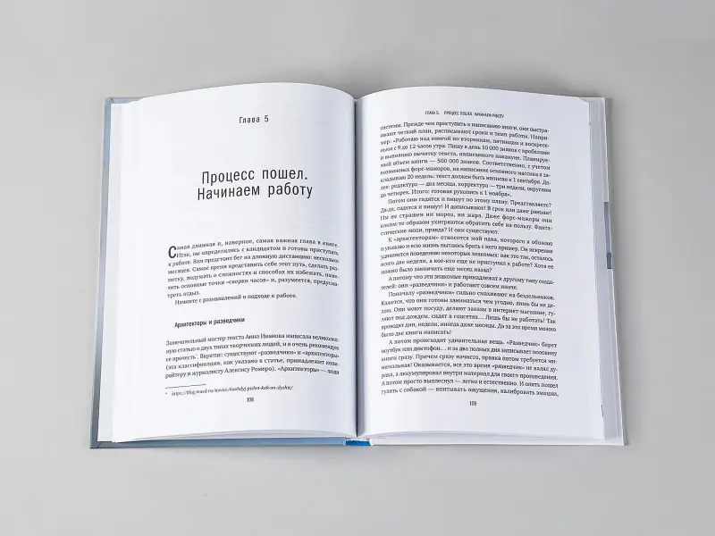Бросалина Любовь: Напишите мою книгу! Все тонкости работы с наемным писателем