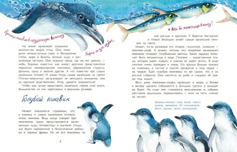Птички-невелички []