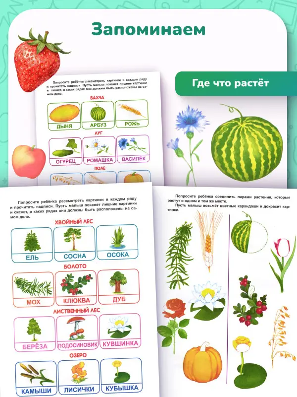 Мамина школа. Комплект из 8-ми книг