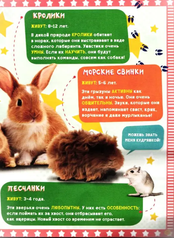 ж-л спец. Дисней для Малышей 03/22 с ВЛОЖЕНИЕМ! Вложение Игровой набор Котята