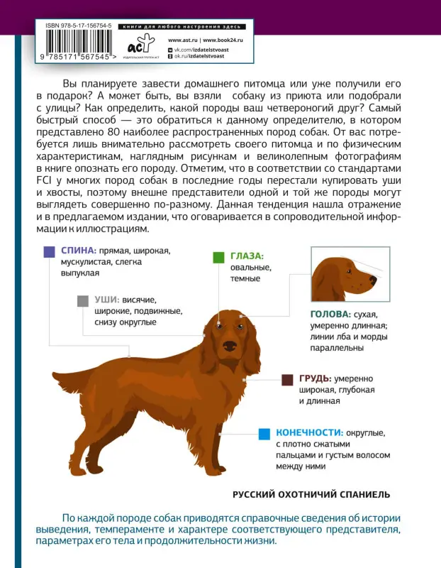 Барановская Ирина Геннадьевна: Определитель собак. Физические характеристики и особеннности породы