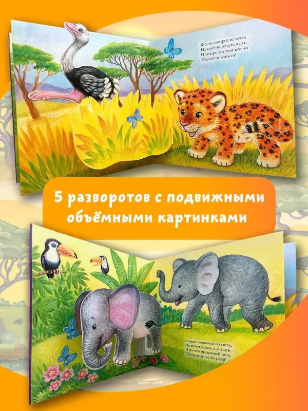 Бурачевская Дина: Животные
