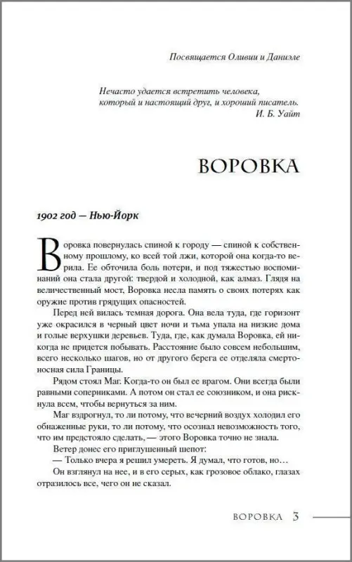Последний маг. 2. Воровка дьявола
