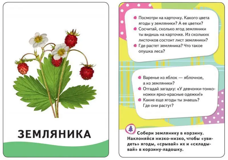 Уценка. Развивающие карточки "В лесу" (U4680010499801)
