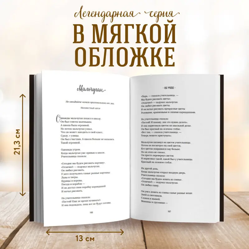 Джек Кэнфилд, Марк Хансен, Эми Ньюмарк. Куриный бульон для души: 101 лучшая история