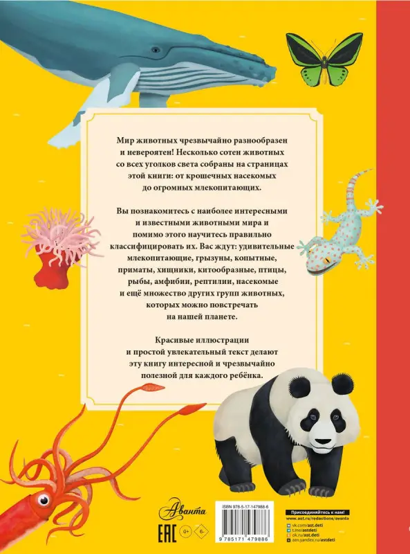 Животные