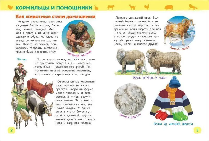 Животные фермы. Энциклопедия для детского сада