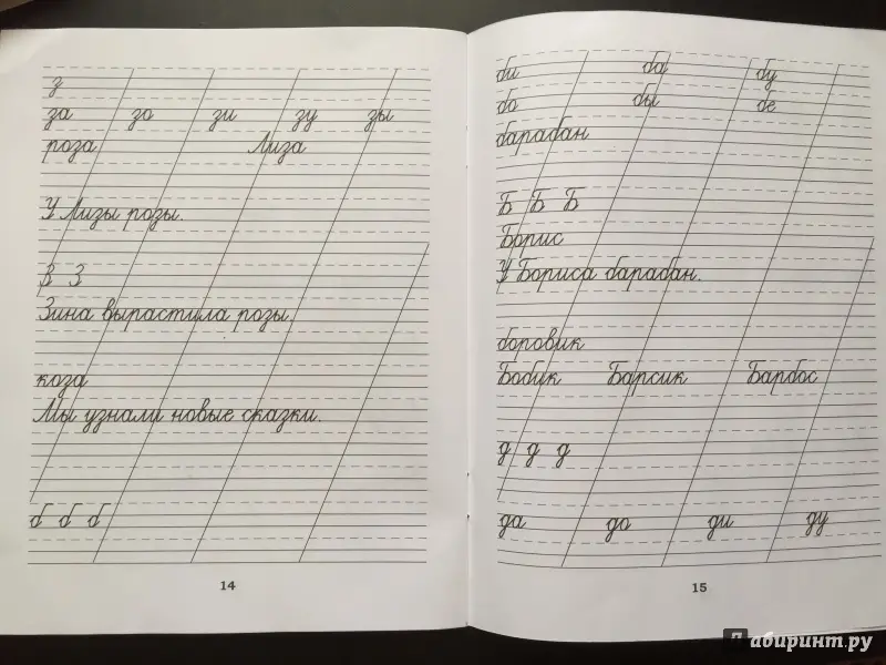Классические прописи по русскому языку. Пропись №1