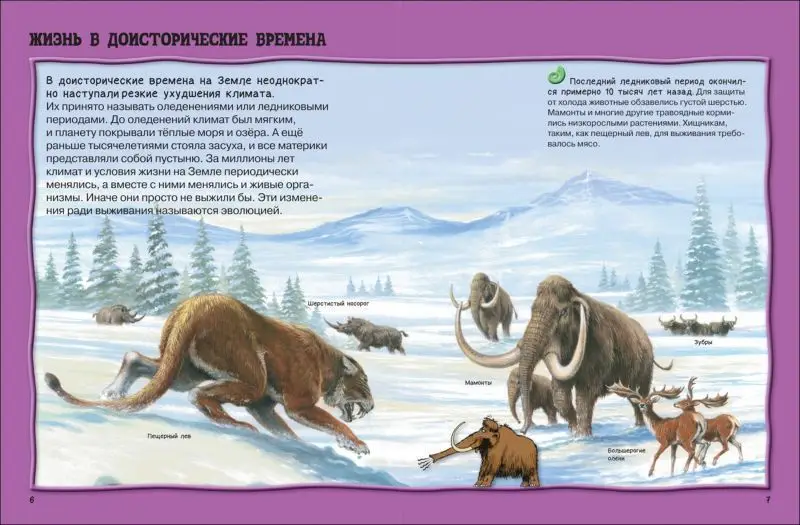 Уценка. Всё о динозаврах. Энциклопедия для детей
