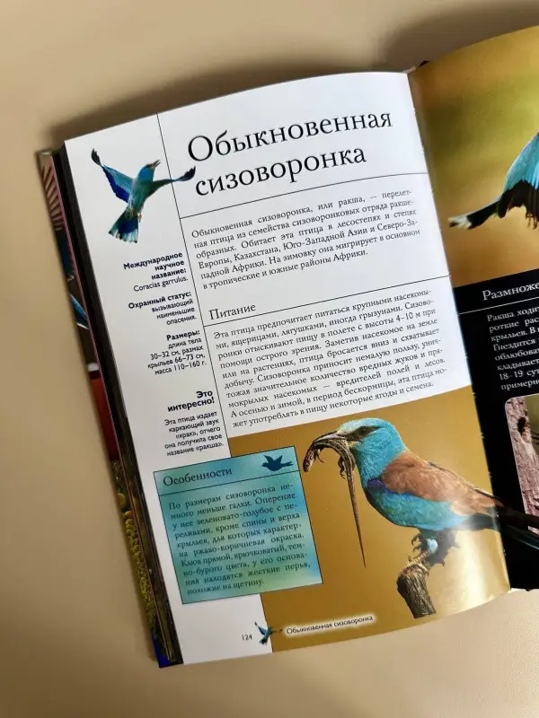 Спектор Анна Артуровна, Папуниди Елена Алексеевна: Птицы. Иллюстрированный гид